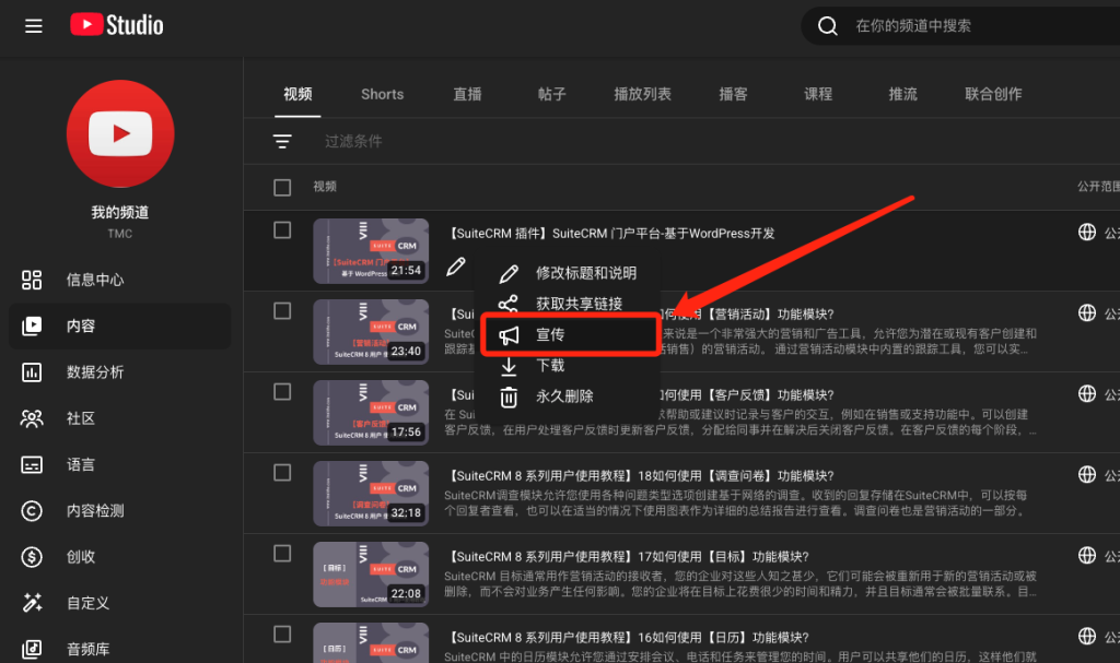 在 YouTube 工作室进行 YouTube 推广